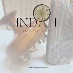 Formation Praticien Shinzu Indah